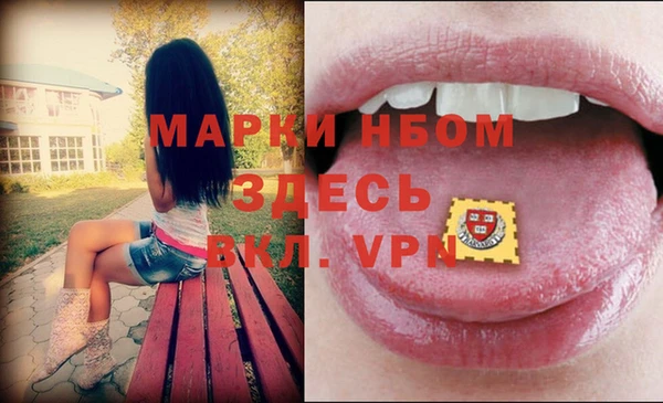 СК Аркадак