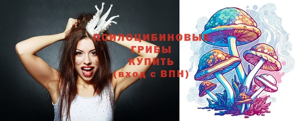 СК Аркадак