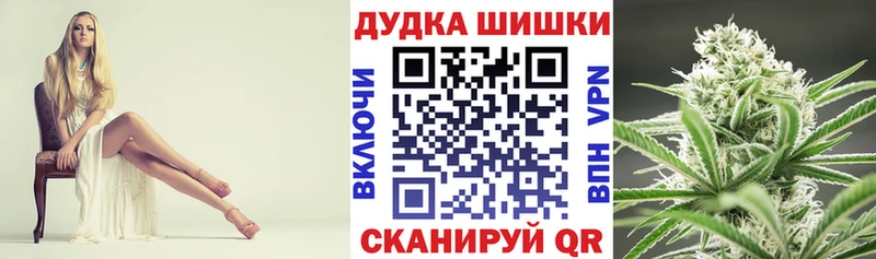 даркнет телеграм  mega зеркало  Аркадак  купить наркотик  Канабис сатива 
